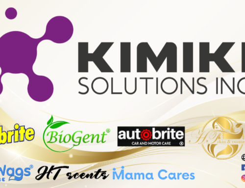 Who Are We? | Kimiki Solutions Inc.
